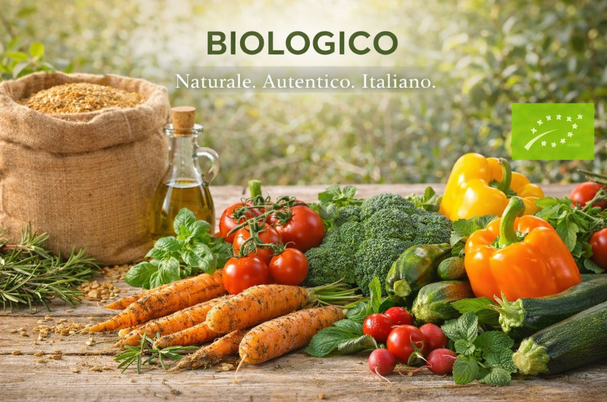 {{https://lifeataly.myshopify.com/admin/collections/180904755333 }} LifeItaly